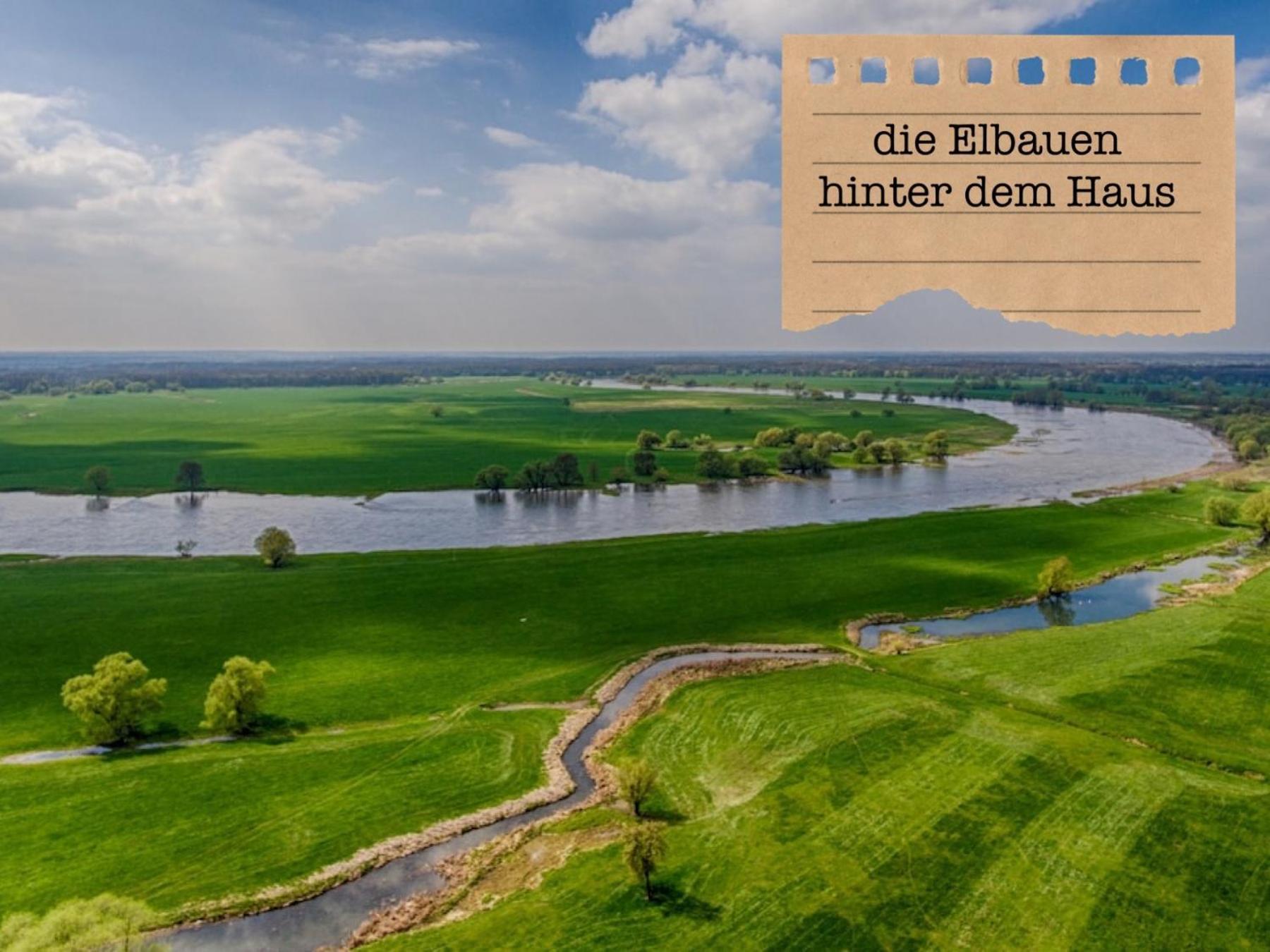 Alte Schule Wittenberg, 3 Ferienwohnungen Fuer Bis Zu 12 Personen, An Der Elbe, Mit Garten Exterior photo