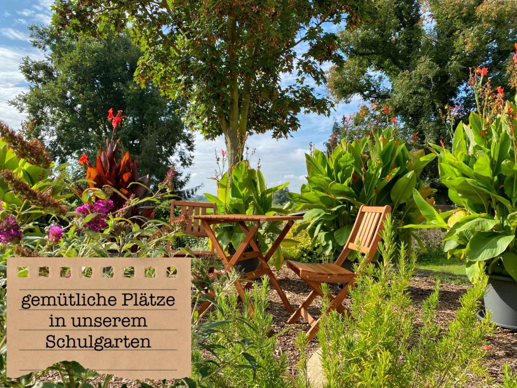 Alte Schule Wittenberg, 3 Ferienwohnungen Fuer Bis Zu 12 Personen, An Der Elbe, Mit Garten Exterior photo