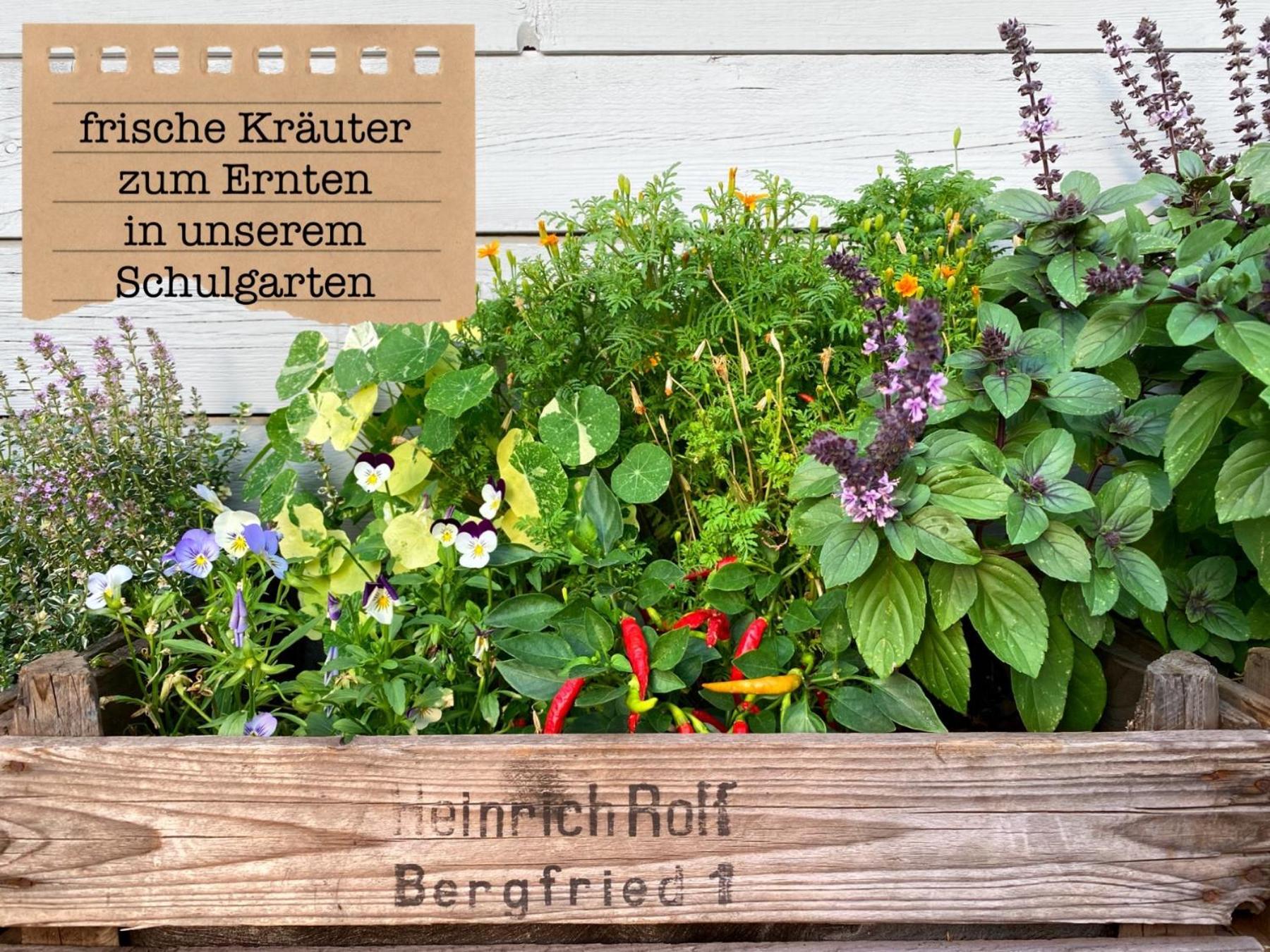 Alte Schule Wittenberg, 3 Ferienwohnungen Fuer Bis Zu 12 Personen, An Der Elbe, Mit Garten Exterior photo