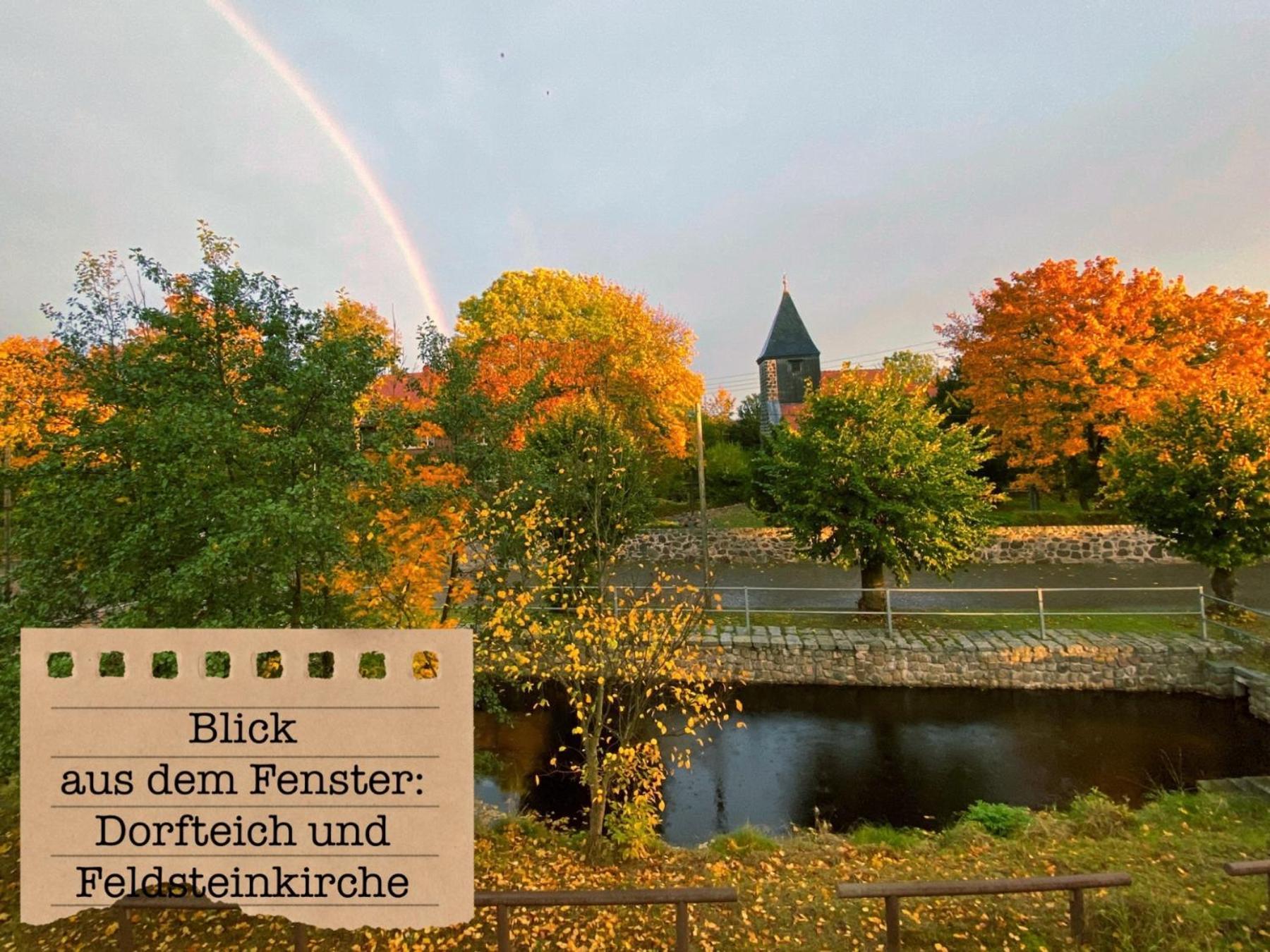 Alte Schule Wittenberg, 3 Ferienwohnungen Fuer Bis Zu 12 Personen, An Der Elbe, Mit Garten Exterior photo